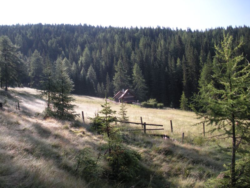 Almweide, im Hintergrund eine Almhütte am Waldrand