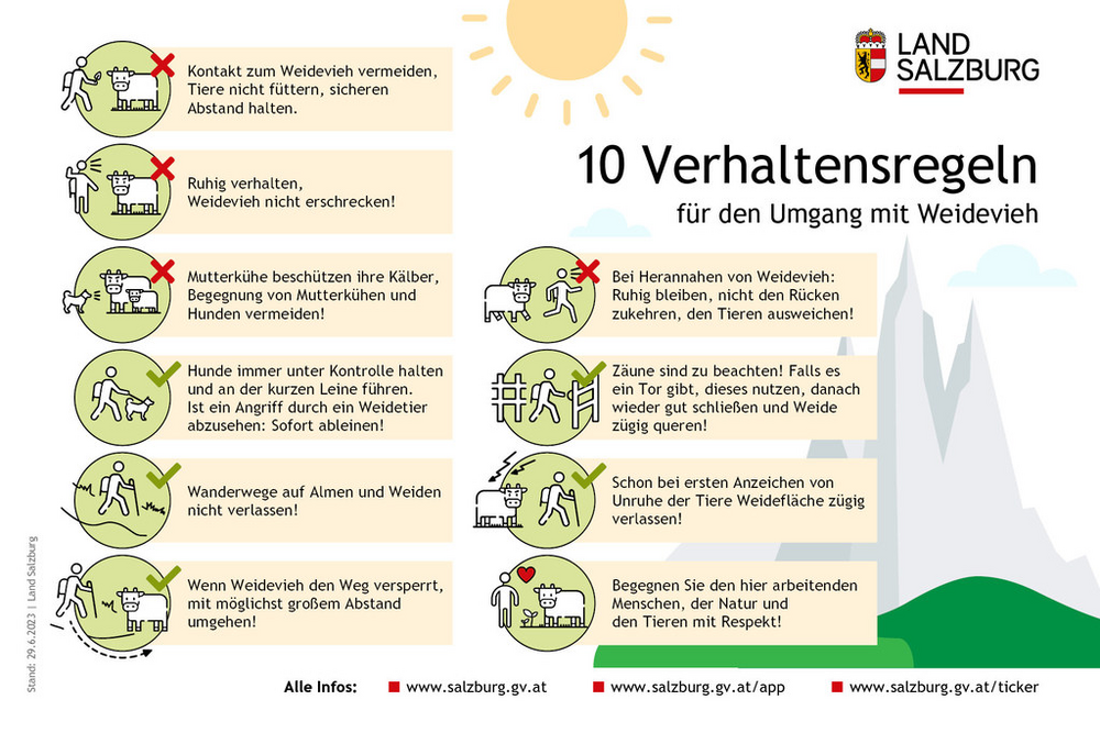 Zehn Verhaltensregeln für den Umgang mit Weidevieh