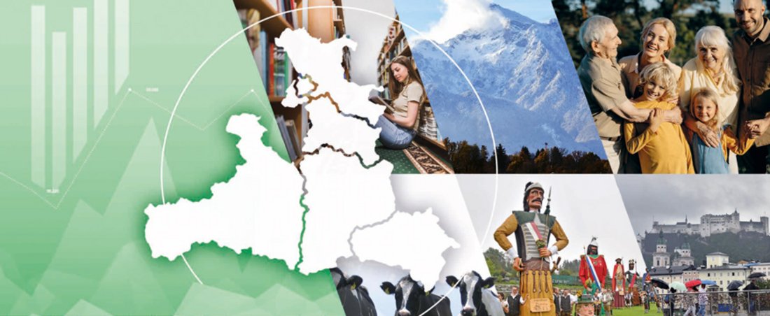 Cover statistisches Handbuch