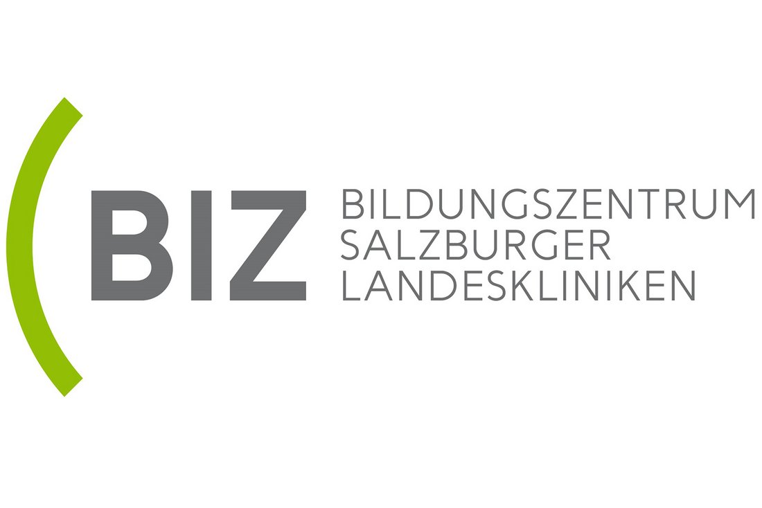 Logo BIZ