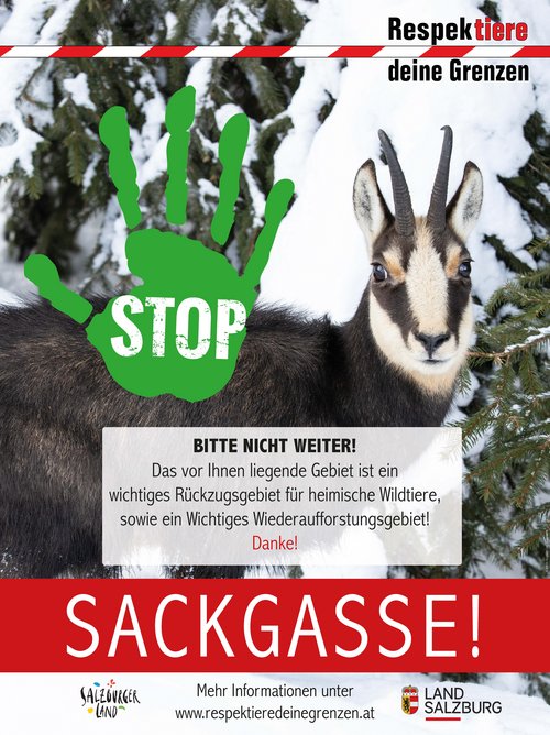 Respektiere deine Grenzen Schild Sackgasse
