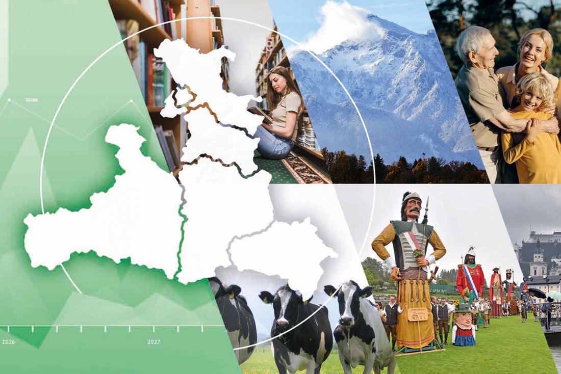 Cover statistisches Handbuch