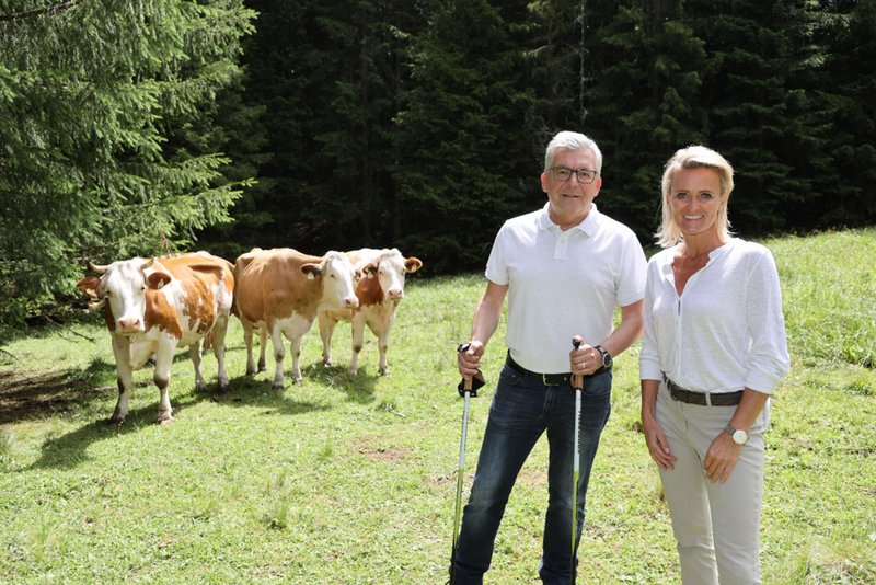 Respektiere deine Grenzen auf der Alm