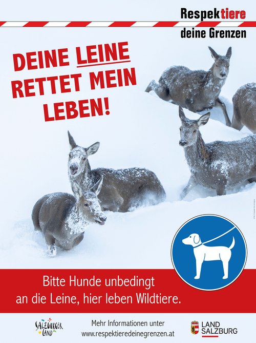 Respektiere deine Grenzen Schild Hundeleine rot