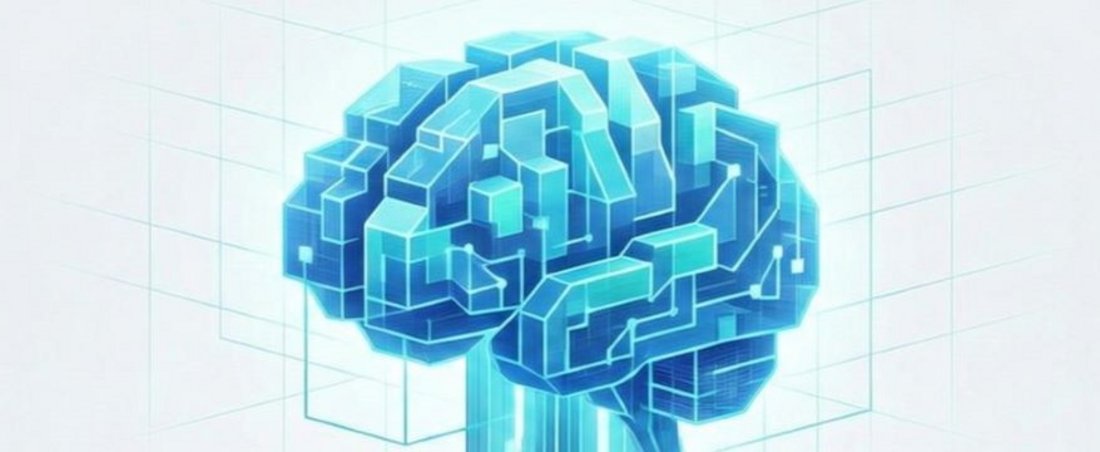 Beschreibung der Kurse mit Bild eines Modellhirn