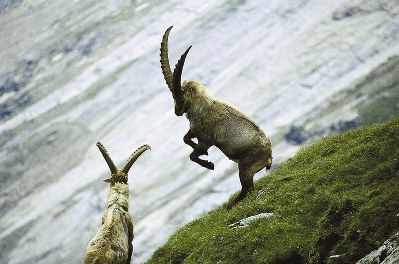 Unser Nationalpark feiert Geburtstag