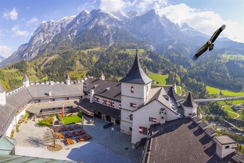 Im Reich der Greifvögel