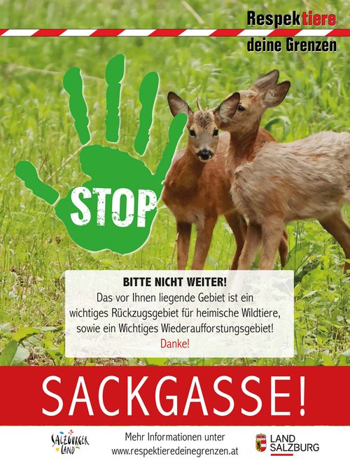 Respektiere deine Grenzen Schild Sackgasse