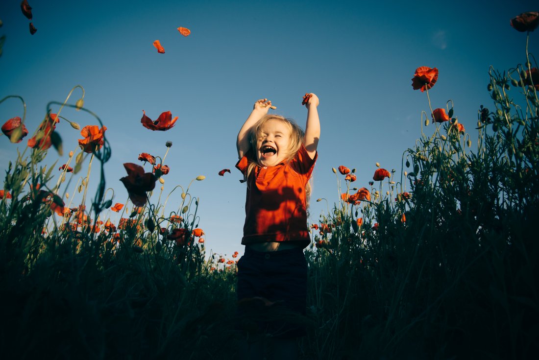 Kind mit Mohnblumen auf einer Wiese