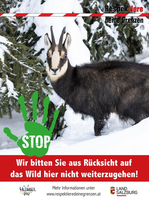 Respektiere deine Grenzen Schild Gamswild