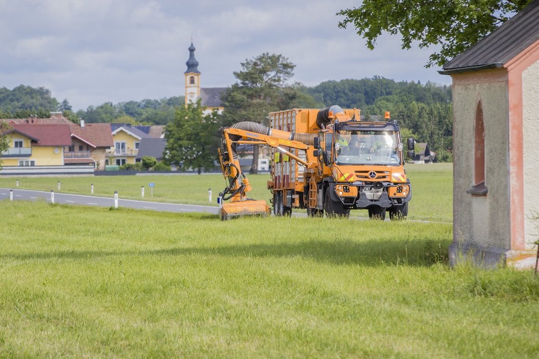 Mäharbeiten