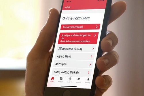Online-Informationen auf dem Handy