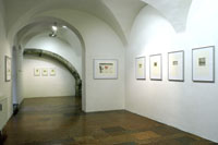 Blick in die Ausstellung von Wolfgang Eibl