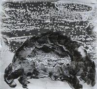 Johannes Steidl, ohne Titel, 2004, Tusche auf Nylon, 130 x 150 cm