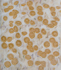 Rupert Gredler, „Großes Zitronenscheibenbild“, Werk Nr. 599, 2005, Öl und Eitempera auf Leinen, 70 x 60 cm
