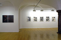 Siegfried Zaworka, Ausstellungsansicht