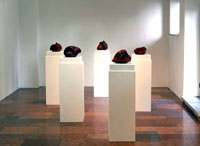 Andrea Fogli, Ausstellungsansicht
