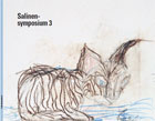 Salinensymposium 3