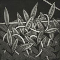 "Blätter", aus der Serie "Verbindlichkeiten", 2006, 20 x 20 cm