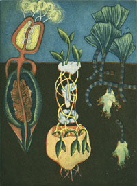"Südafrikanische Flora", 2002, 12 x 9 cm