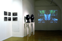 links: Fotodrucke von S. Schubeyr Mitte: Keramik-Vasen von G. Tusch rechts: DVD-Filme von L. Bezeta