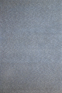 Roman Opalka, aus der Serie "1965/1 - unendlich", Acryl auf Leinwand, 196 x 135 cm (Sammlung Lenz Schönberg)