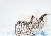 Gerhard Maurer, „Katze“, 2010, Ölkreide auf Papier, 42 x 59 cm