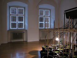 Ausstellung im Traklhaus: „Mother mother, gesungen“ in den Fenstern: „blind window“, 2004, Silberfolie auf Glas