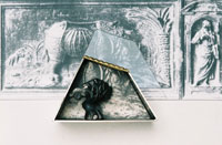 Eva Tesarik, "Rhinoceros", Broschen, Silber, Bergkristall, Foto, Messing, 2006