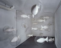 Julie Hayward, „sleeping along 1999", Porzellan, Plexiglass, 20teilig, je 30 x 40 cm; Austellungsansicht: Kunstbunker Tumulka