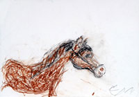 Gerhard Maurer, „Pferd“, 2010, Ölkreide auf Papier, 42 x 59 cm