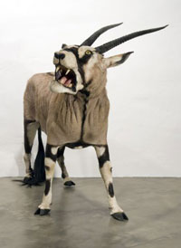 Deborah Sengl, „Der Löwe - als Räuber - ertarnt sich die begehrte Beute" (Oryxlöwe), 2009, Tierpräparat, lebensgroß; Foto: Galerie M. Deschler, Berlin