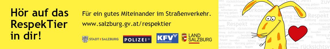 Banner der Aktion respektier