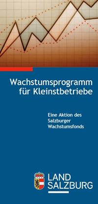 Folder Wachstumsprogramm für Kleinbetriebe