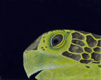 Christine Eliasch, „Meeresschildkröte“, 2004, Acryl auf Leinwand, 24 x 30 cm