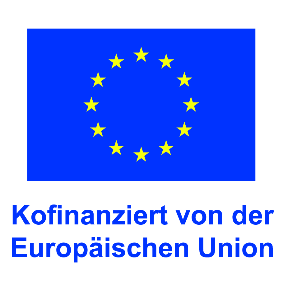 EU-Logo